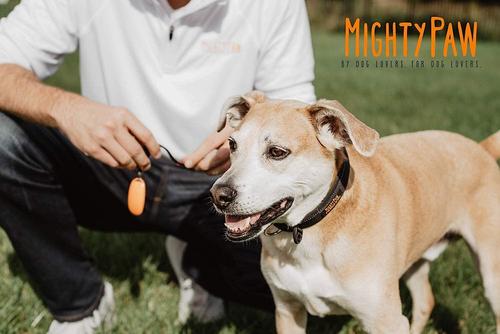 Show full view: Mighty Paw Dog Training Clicker slide 7 of 8