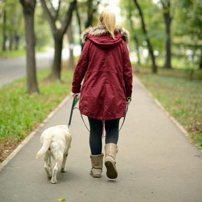 Show full view: Mighty Paw HandleX2 Nylon Reflective Dog Leash, Grey & Green, 6-ft long, 1-in wide slide 7 of 10