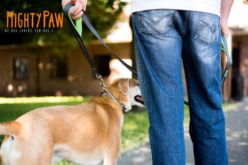Show full view: Mighty Paw HandleX2 Nylon Reflective Dog Leash, Grey & Green, 6-ft long, 1-in wide slide 8 of 10