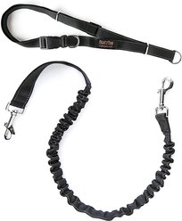Mighty Paw Hands Free Nylon Bungee Dog Leash Set, Black, 36-in