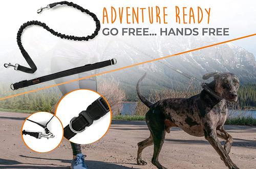 Show full view: Mighty Paw Hands Free Nylon Bungee Dog Leash Set, Black, 36-in slide 4 of 9