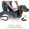 Show in main carousel: Mighty Paw Hands Free Nylon Bungee Dog Leash Set, Black, 36-in slide 5 of 9