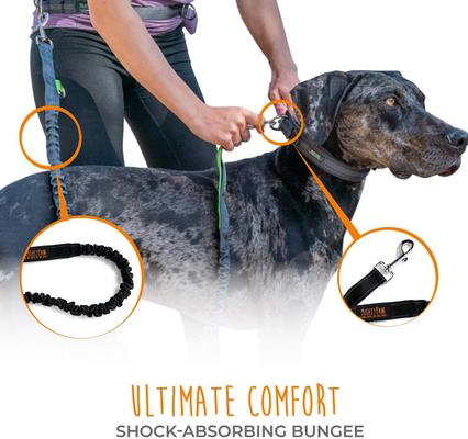 Show full view: Mighty Paw Hands Free Nylon Bungee Dog Leash Set, Black, 36-in slide 5 of 9