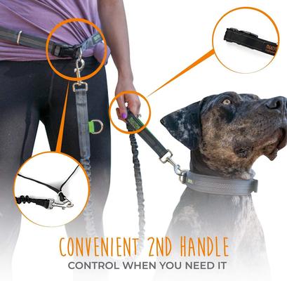 Show full view: Mighty Paw Hands Free Nylon Bungee Dog Leash Set, Black, 36-in slide 7 of 9