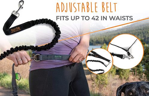 Show full view: Mighty Paw Hands Free Nylon Bungee Dog Leash Set, Black, 36-in slide 8 of 9