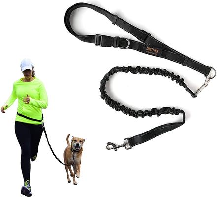Show full view: Mighty Paw Hands Free Nylon Bungee Dog Leash Set, Black, 36-in slide 9 of 9