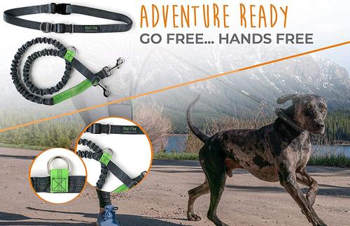 Show full view: Mighty Paw Hands Free Nylon Bungee Dog Leash Set, Grey, 36-in slide 3 of 9