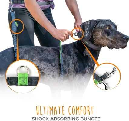 Show full view: Mighty Paw Hands Free Nylon Bungee Dog Leash Set, Grey, 36-in slide 4 of 9