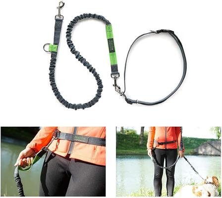 Show full view: Mighty Paw Hands Free Nylon Bungee Dog Leash Set, Grey, 36-in slide 5 of 9