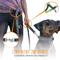 Show in main carousel: Mighty Paw Hands Free Nylon Bungee Dog Leash Set, Grey, 36-in slide 6 of 9