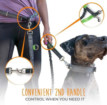 Show full view: Mighty Paw Hands Free Nylon Bungee Dog Leash Set, Grey, 36-in slide 6 of 9