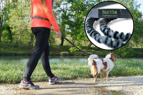 Show full view: Mighty Paw Hands Free Nylon Bungee Dog Leash Set, Grey, 36-in slide 7 of 9