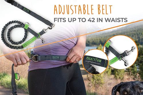 Show full view: Mighty Paw Hands Free Nylon Bungee Dog Leash Set, Grey, 36-in slide 8 of 9