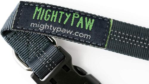 Show full view: Mighty Paw Hands Free Nylon Bungee Dog Leash Set, Grey, 36-in slide 9 of 9