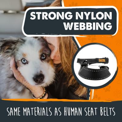 Show full view: Mighty Paw Headrest Dog Seat Belt slide 7 of 11