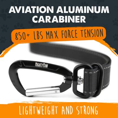 Show full view: Mighty Paw Headrest Dog Seat Belt slide 6 of 11