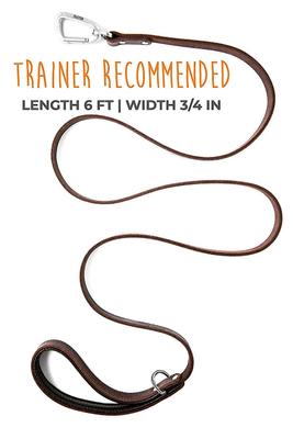 Show full view: Mighty Paw Leather Dog Leash, 6-ft long slide 6 of 7