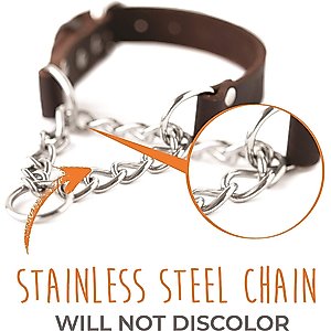 Mighty Paw Leather Martingale Dog Collar, Large