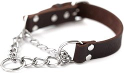 Mighty Paw Leather Martingale Dog Collar, Medium