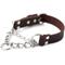 Show in main carousel: Mighty Paw Leather Martingale Dog Collar, Small slide 1 of 5