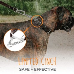 Mighty Paw Leather Martingale Dog Collar, Small slide 2 of 3