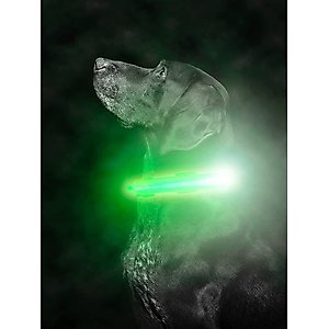 Mighty Paw LED Dog Collar, Green, Small