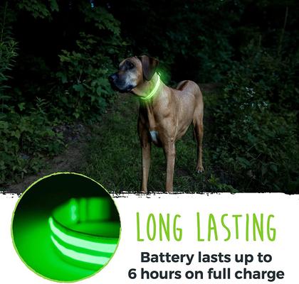 Show full view: Mighty Paw LED Dog Collar, Green, Small slide 8 of 11