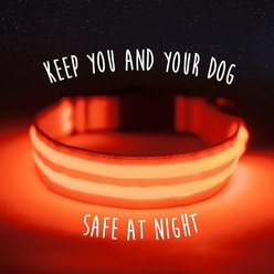 Mighty Paw LED Dog Collar, Orange, Small slide 2 of 9
