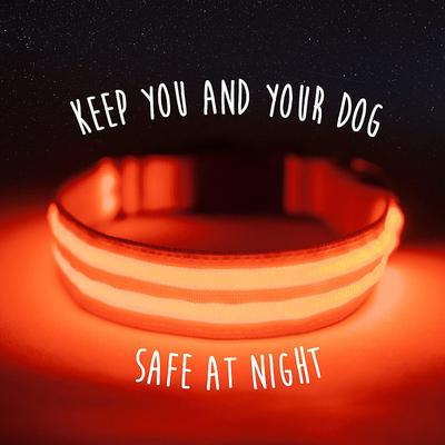 Show full view: Mighty Paw LED Dog Collar, Orange, Small slide 2 of 10