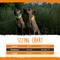Show in main carousel: Mighty Paw LED Dog Collar, Orange, Small slide 3 of 10