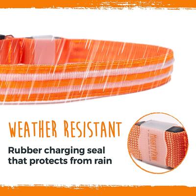 Show full view: Mighty Paw LED Dog Collar, Orange, Small slide 6 of 10