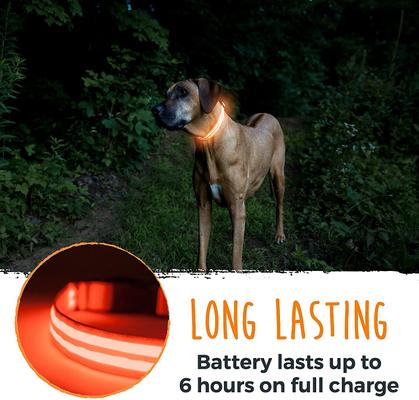 Show full view: Mighty Paw LED Dog Collar, Orange, Small slide 7 of 10