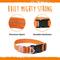 Show in main carousel: Mighty Paw LED Dog Collar, Orange, Small slide 9 of 10