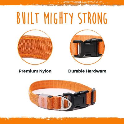 Show full view: Mighty Paw LED Dog Collar, Orange, Small slide 9 of 10