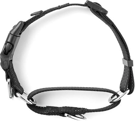Show full view: Mighty Paw Nylon Martingale Cinch Dog Collar, Black, Large slide 5 of 10