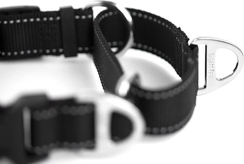 Show full view: Mighty Paw Nylon Martingale Cinch Dog Collar, Black, Large slide 9 of 10