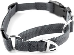 Mighty Paw Nylon Martingale Cinch Dog Collar, Grey, Large