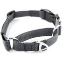 Mighty Paw Nylon Martingale Cinch Dog Collar, Grey, Large