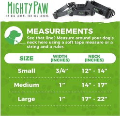 Mighty Paw Nylon Martingale Cinch Dog Collar, Grey, Large slide 2 of 9