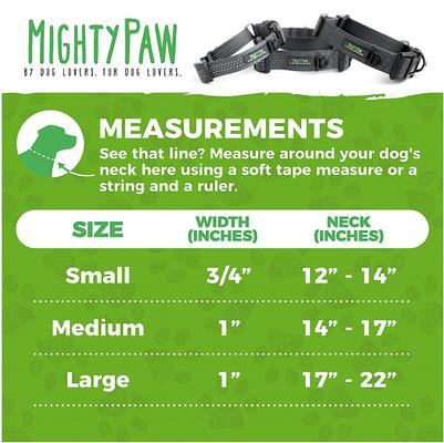 Show full view: Mighty Paw Nylon Martingale Cinch Dog Collar, Grey, Large slide 2 of 10