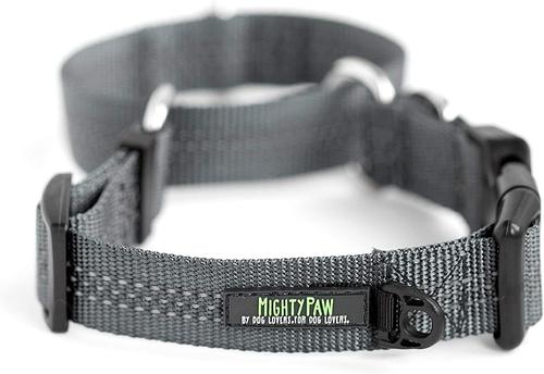Show full view: Mighty Paw Nylon Martingale Cinch Dog Collar, Grey, Large slide 6 of 10