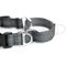 Show in main carousel: Mighty Paw Nylon Martingale Cinch Dog Collar, Grey, Large slide 9 of 10