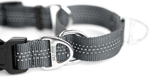Show full view: Mighty Paw Nylon Martingale Cinch Dog Collar, Grey, Large slide 9 of 10