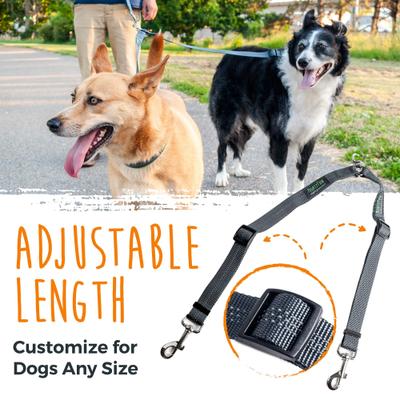 Show full view: Mighty Paw Nylon Reflective Double Dog Leash, Grey & Green, 2-ft long, 1-in wide slide 3 of 10