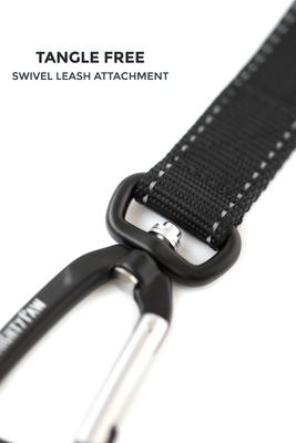 Show full view: Mighty Paw Nylon Reflective Short Dog Leash, Grey & Green, 2.5-ft long, 1-in wide slide 8 of 10