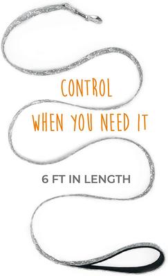 Show full view: Mighty Paw Polyester Designer Dog Leash, Grey Paisley, 6-ft long, Lite slide 3 of 9