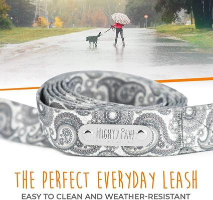 Show full view: Mighty Paw Polyester Designer Dog Leash, Grey Paisley, 6-ft long, Lite slide 6 of 9