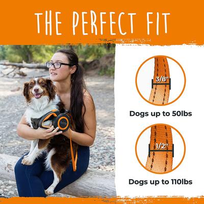 Show full view: Mighty Paw Retractable 2.0 Dog Leash, Orange, Lite slide 7 of 11