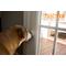 Show in main carousel: Mighty Paw Smart Bell 2.0 Potty Training Dog Doorbell, White, 2 count slide 9 of 13