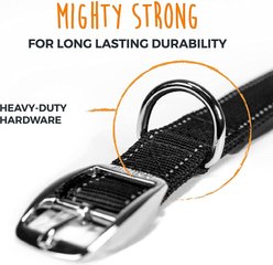 Mighty Paw Sport 2.0 Dog Collar, Green, Medium slide 2 of 3